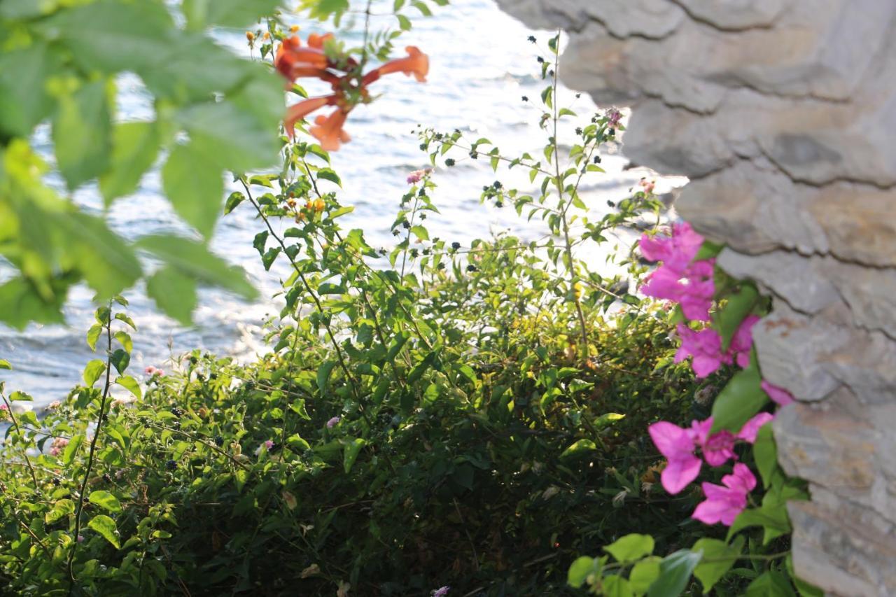 Urga Butik Otel & Restaurant Gulluk ภายนอก รูปภาพ